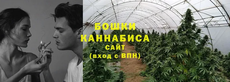 Бошки Шишки THC 21%  дарнет шоп  Котельниково 